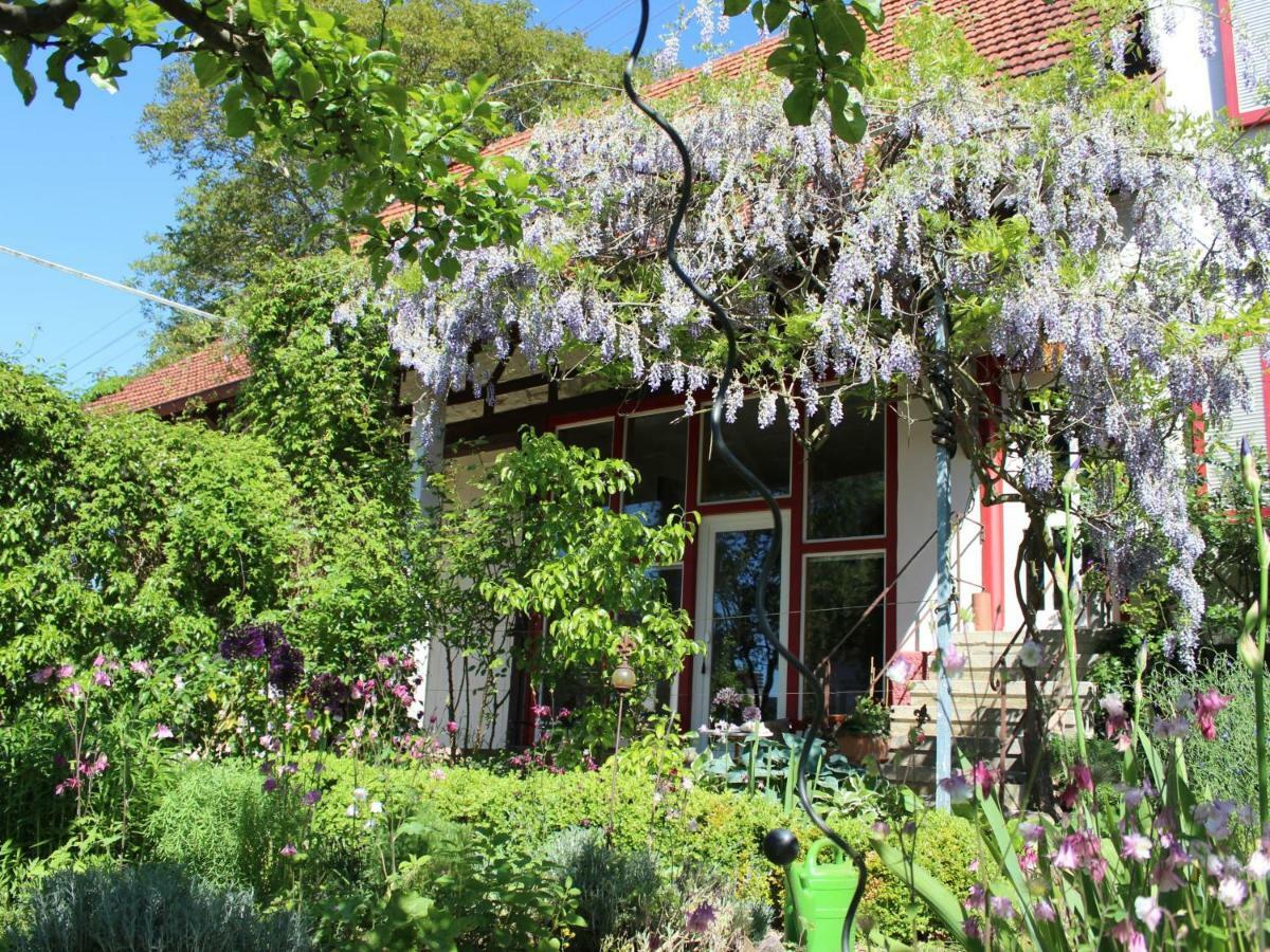 Zur Alten Scheune Balingen Exterior photo