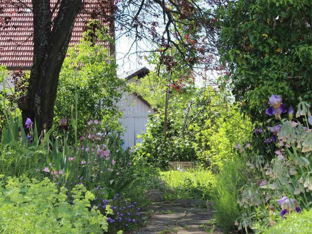 Zur Alten Scheune Balingen Exterior photo